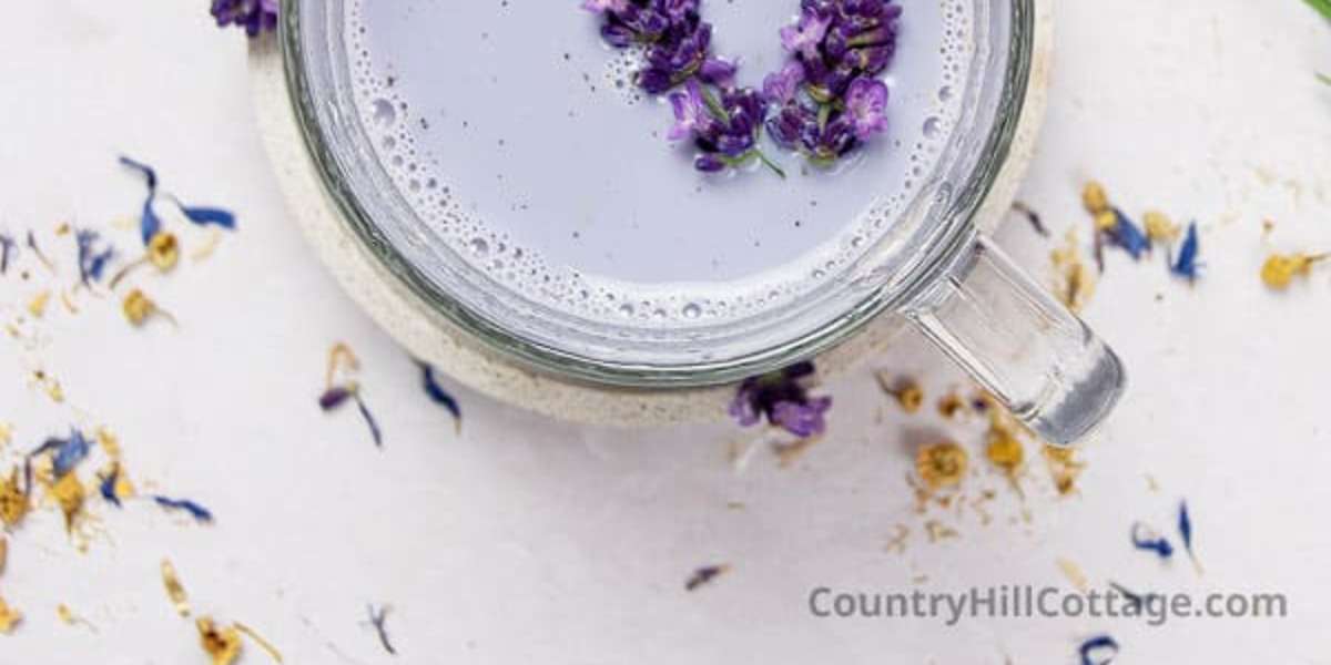 Lavender in hot 2025 milk