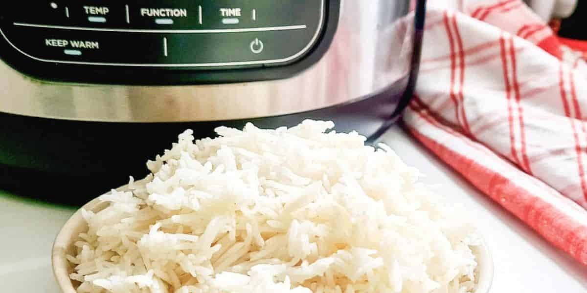 Ninja Foodi Air Fryer Rice