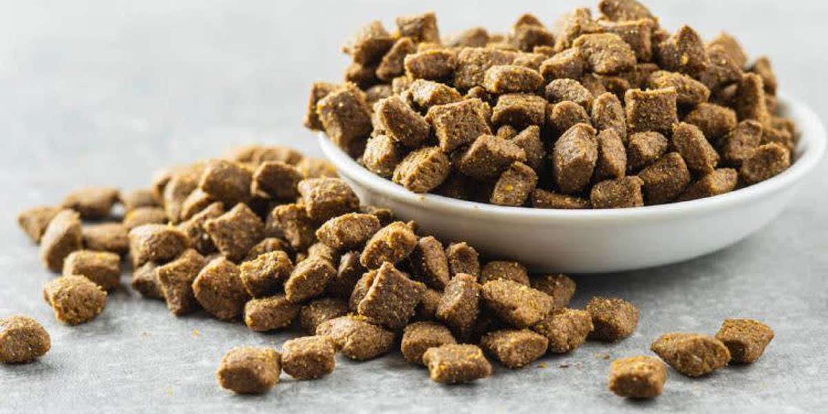 Homemade Dog Kibble
