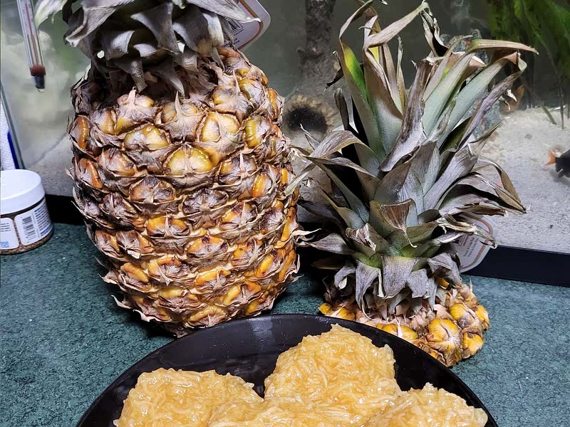 Cocadas de Piña (Pineapple and Coconut Candy) Recipe - Samsung Food
