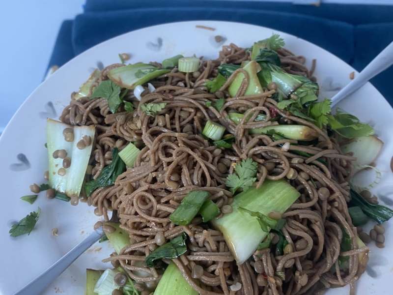 Spicy Garlic Soba Noodles with Bok Choy - This Savory Vegan