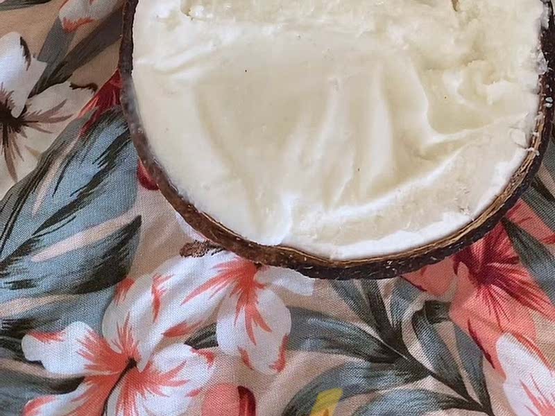 Ray Peat Ice Cream Recipe Samsung Food