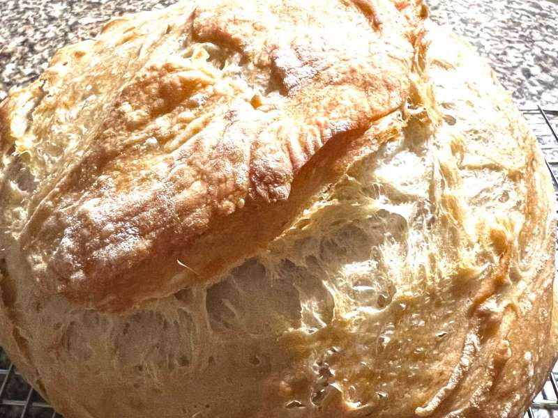 World's Easiest Yeast Bread recipe - Artisan, NO KNEAD crusty bread
