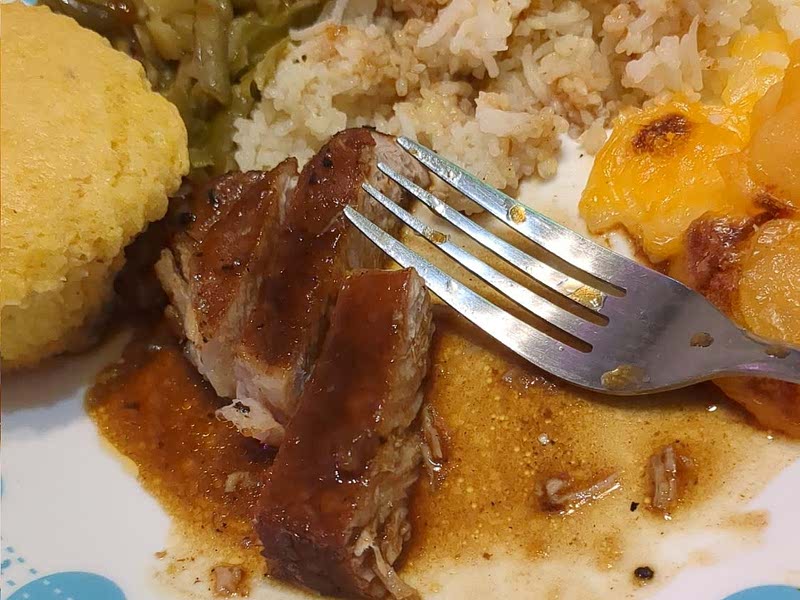 Instant pot best hotsell damn pork chops