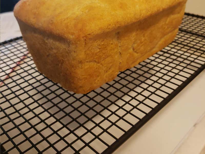 Found! Easy SameDay Peasant Bread Recipe Cup of Jo — Samsung Food