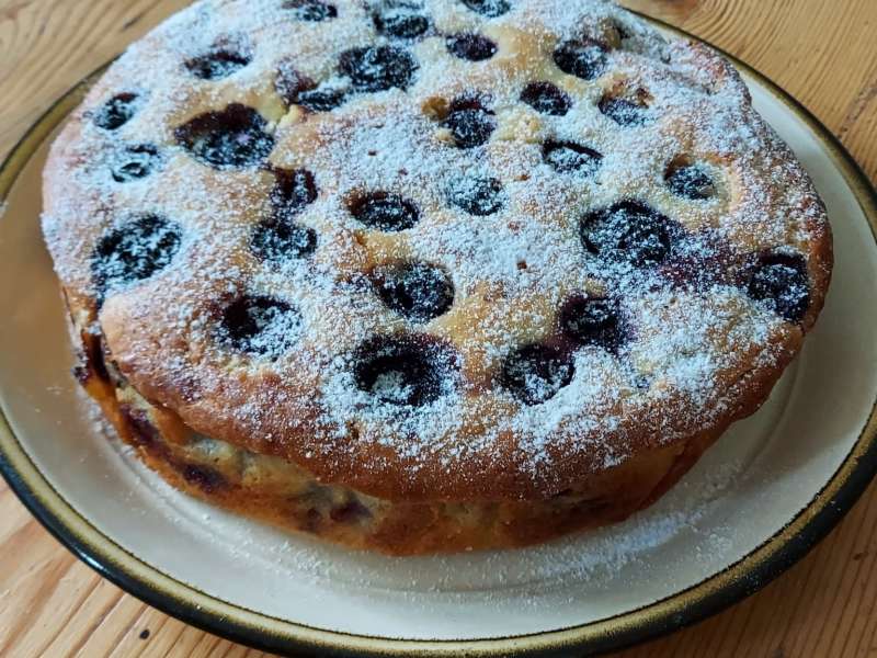 Vanilla Blueberry Cake with Blueberry Cardamom Curd | Bunsen Burner Bakery