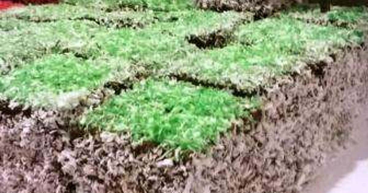 Minecraft Lamingtons Cake Recipe - Samsung Food