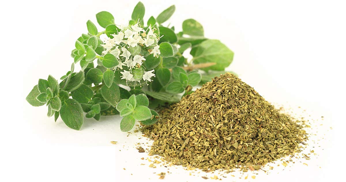 6397 Easy Dried oregano Recipes