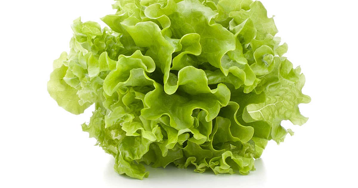 249 Easy Butter lettuce Recipes