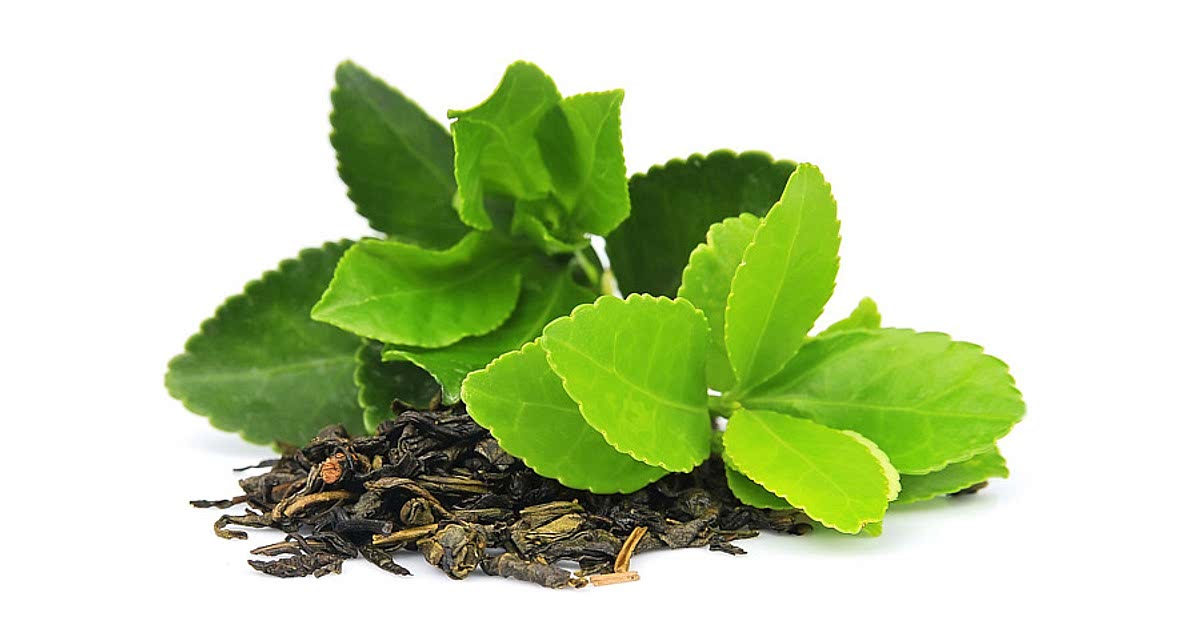 339 Easy Green tea leaves Recipes for a Nutritious Meal from Samsung