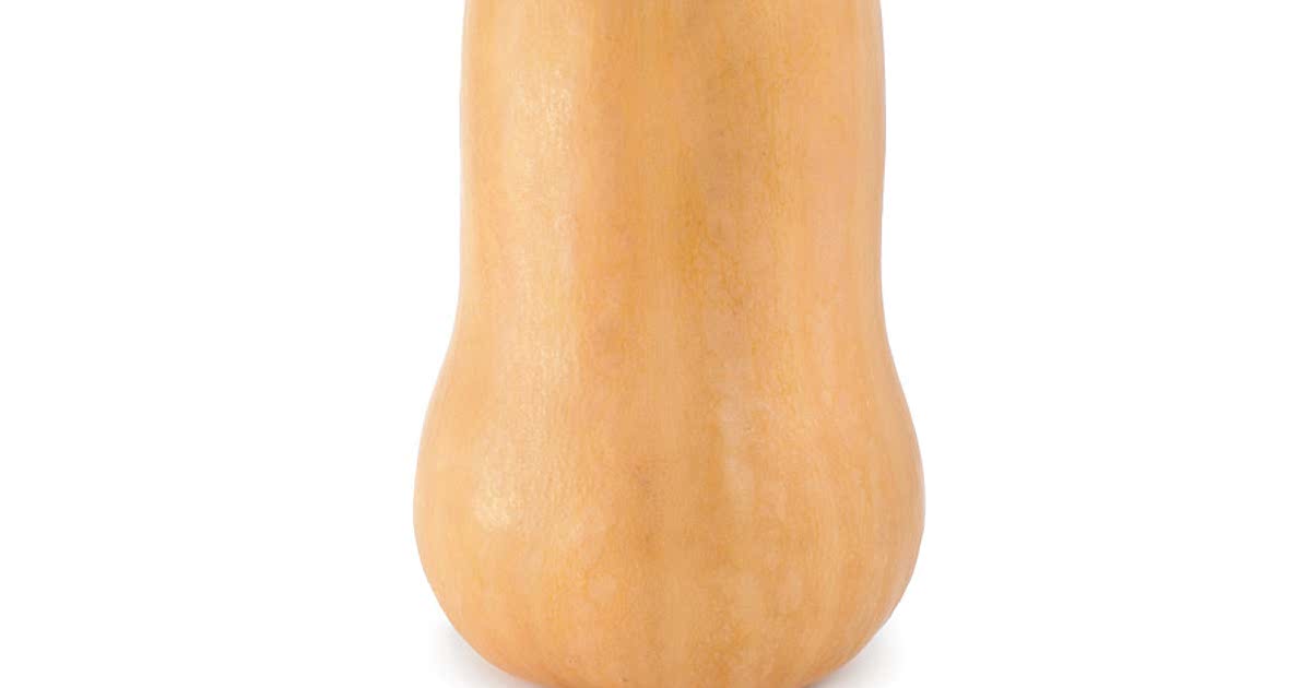 1334 Easy Butternut Squash Recipes 1334-easy-butternut-squash-recipes
