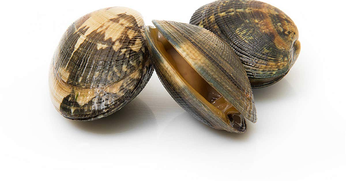 Easy Frozen manila clam Recipes for a Nutritious Meal from Samsung Food