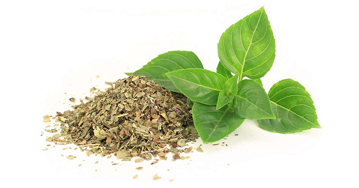 1935 Easy Dried basil Recipes