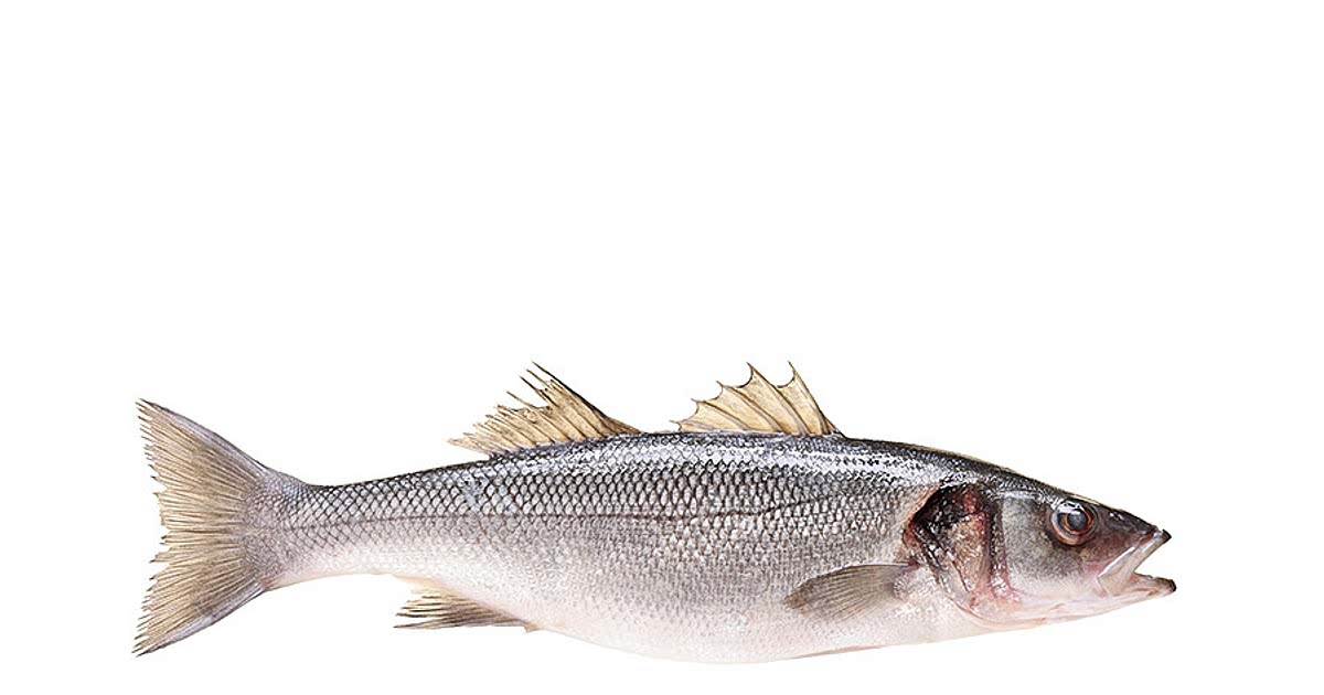 94 Easy Sea bass Recipes