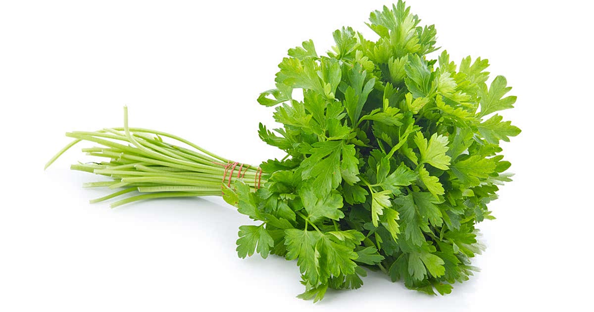 10000+ Easy Parsley Recipes