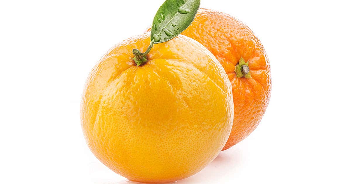 1425 Easy Orange Recipes