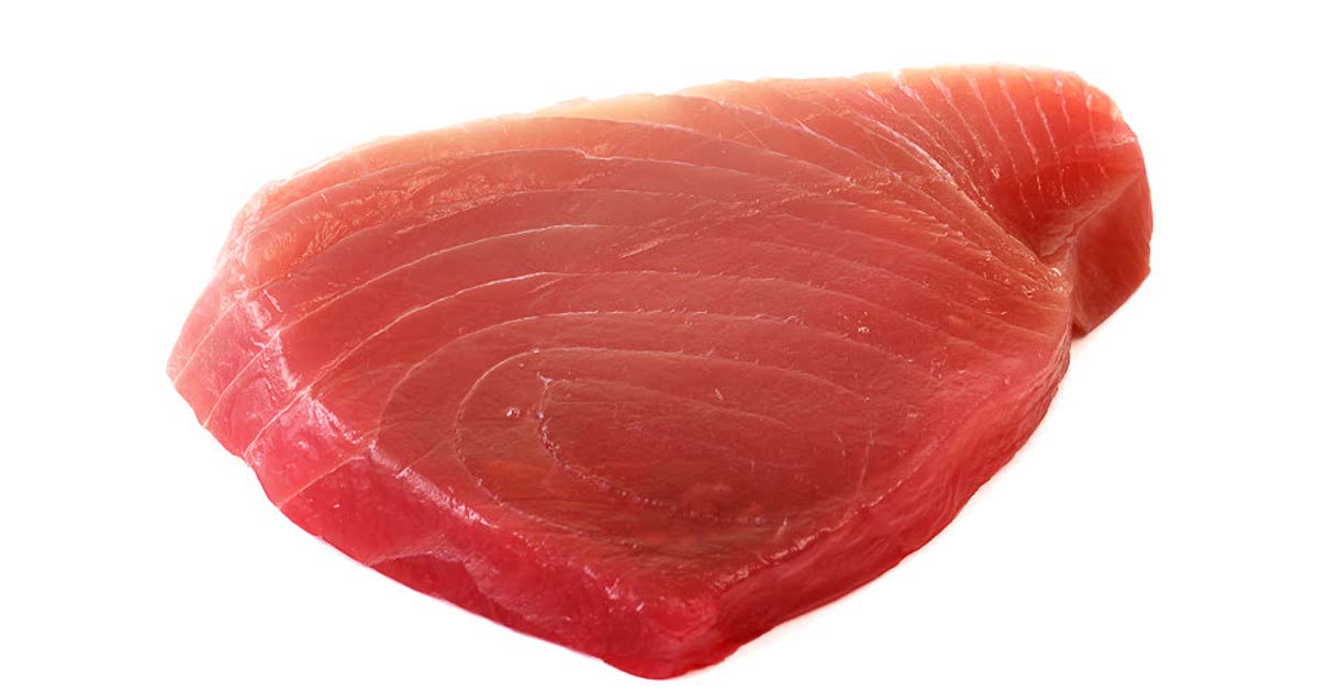 261 Easy Tuna Recipes