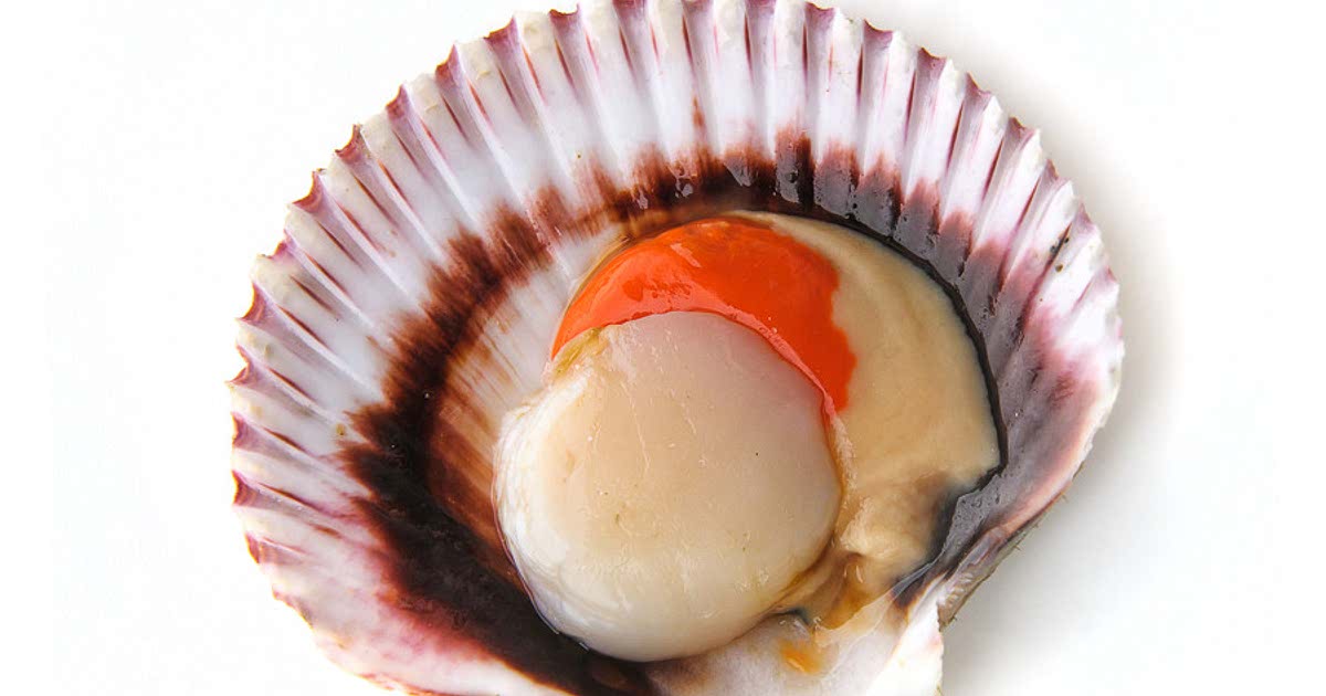 227 Easy Scallops Recipes for a Nutritious Meal from Samsung Food Community