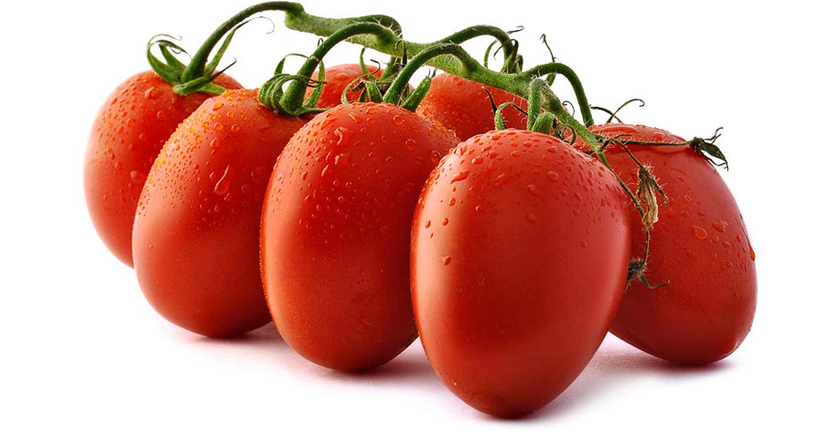 1776 Easy Plum tomato Recipes