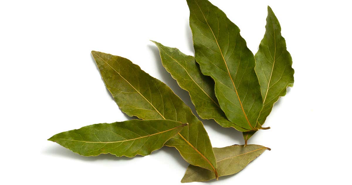 316 Easy Dried bay leaf Recipes for a Nutritious Meal from Samsung Food