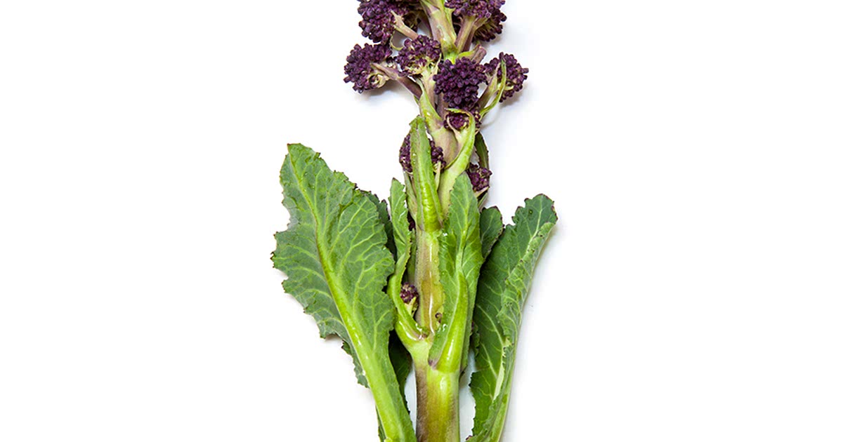 15 Easy Purple sprouting broccoli Recipes
