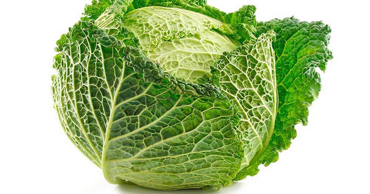 109 Easy Savoy cabbage Recipes