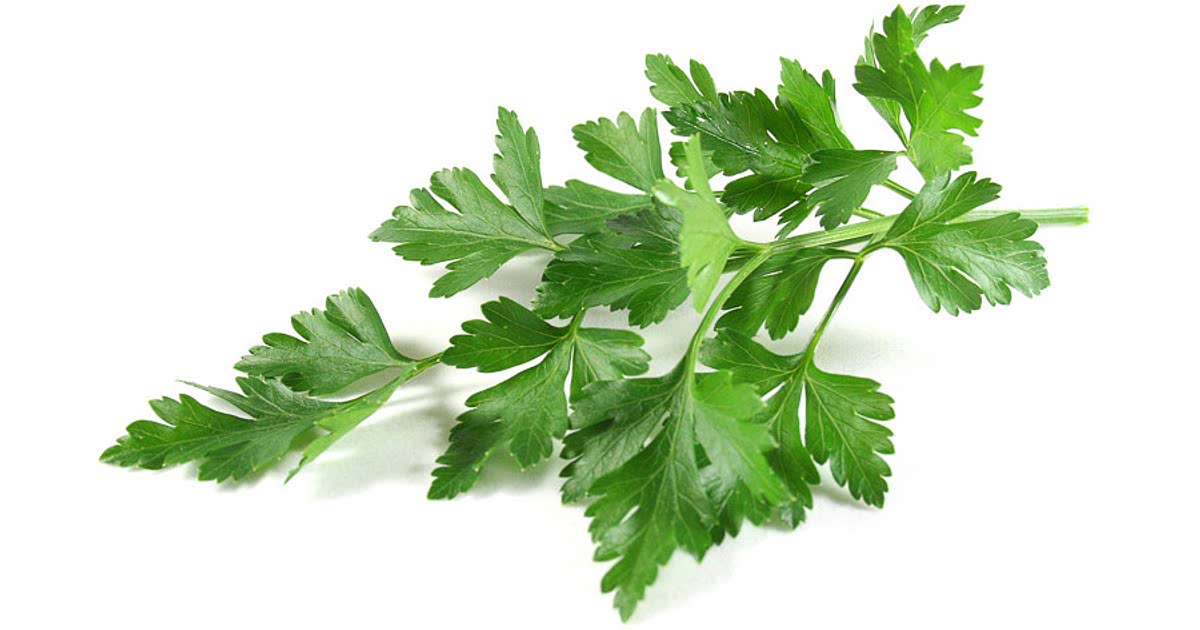 6-easy-lovage-recipes
