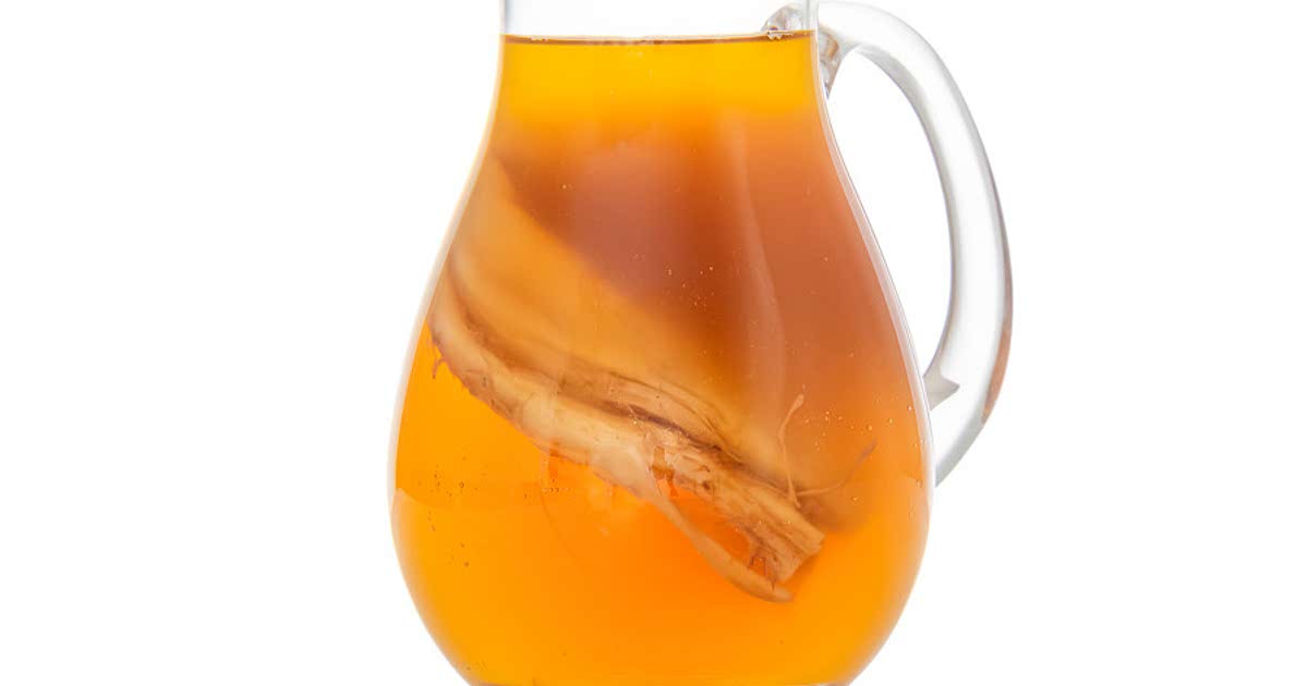 3 Easy Ginger kombucha Recipes for a Nutritious Meal from Samsung Food