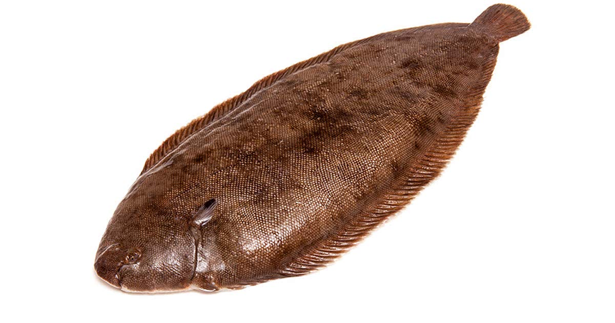 5 Easy Dover Sole Recipes 5 Easy Dover Sole Recipes