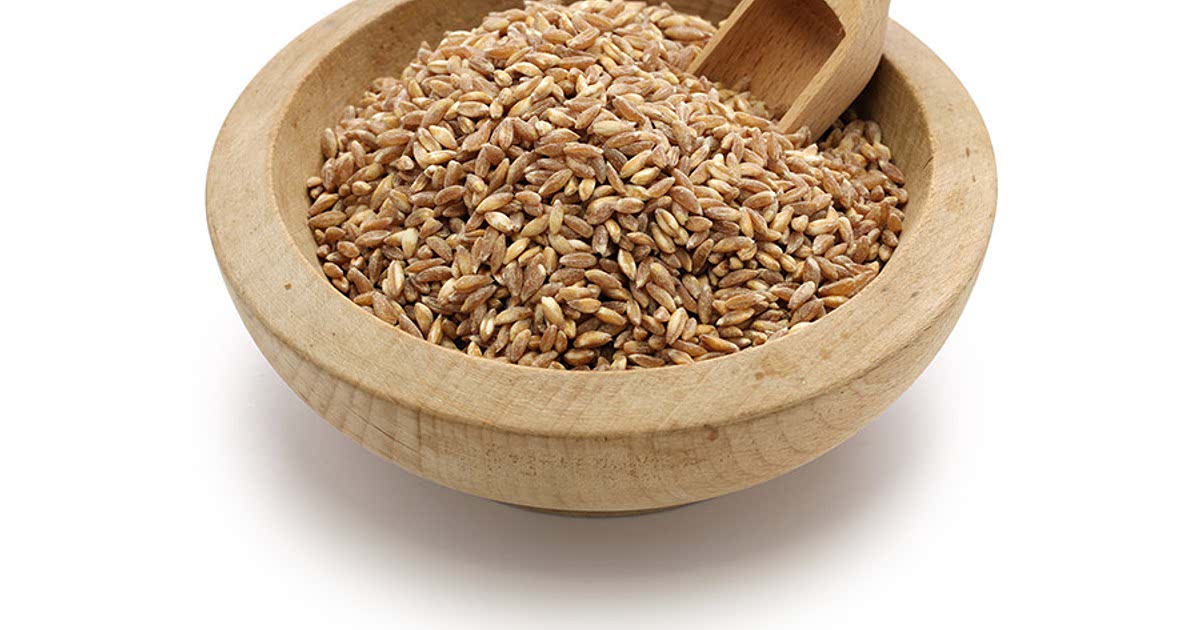 18 Easy Spelt Recipes 18-easy-spelt-recipes