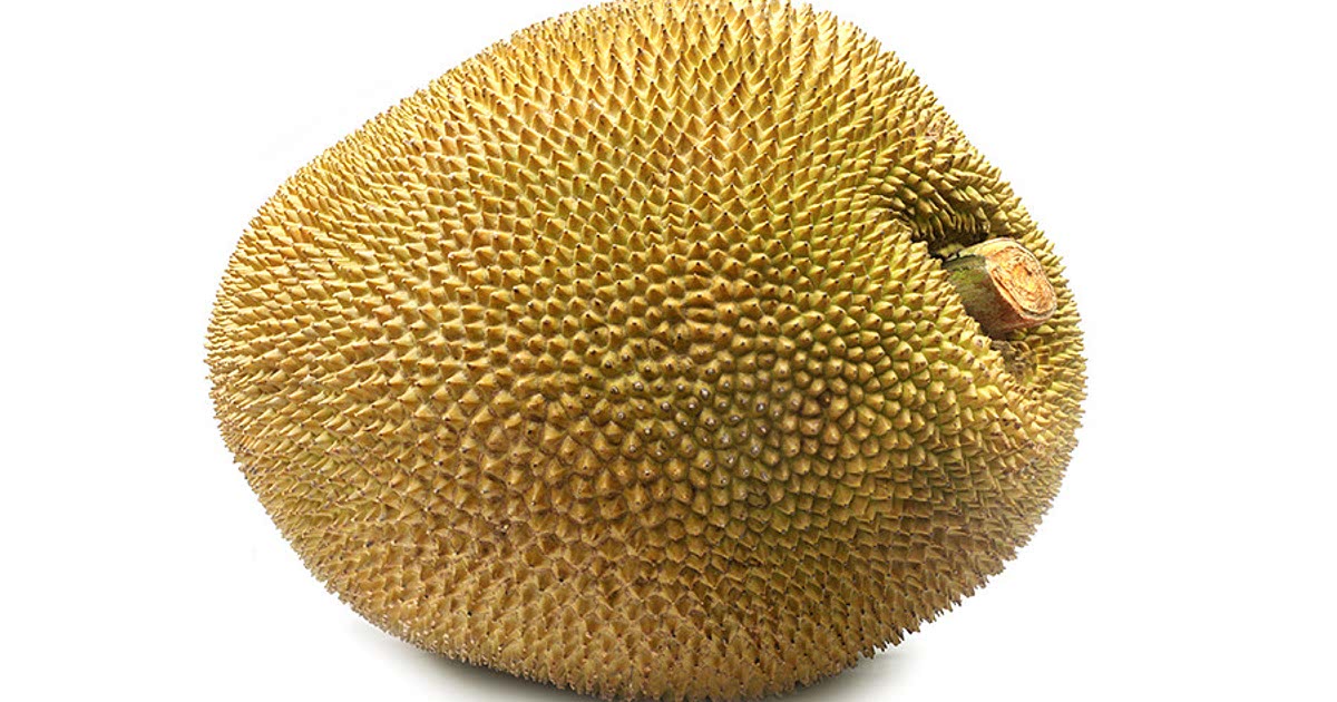 39 Easy Jackfruit Recipes for a Nutritious Meal from Samsung Food Community