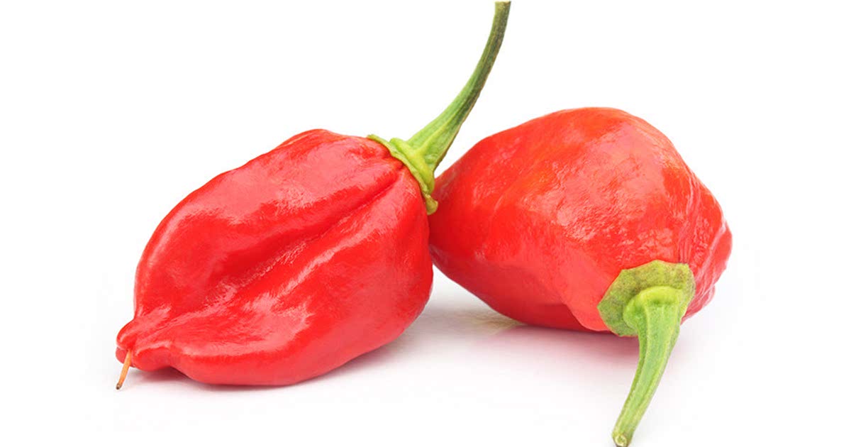 3 Easy Ghost pepper Recipes for a Nutritious Meal from Samsung Food