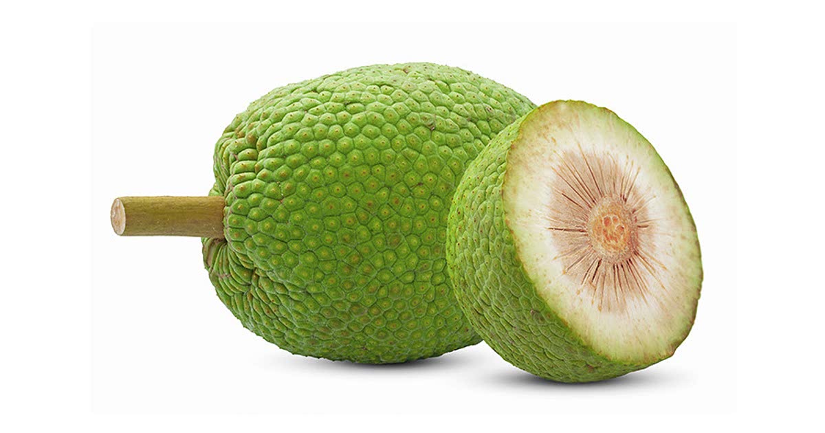 6 Easy Breadfruit Recipes for a Nutritious Meal from Samsung Food Community