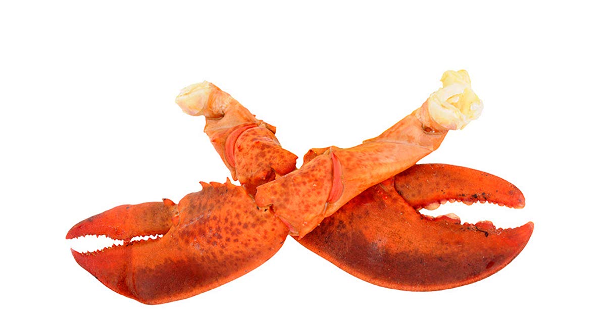 Easy Lobster claws Recipes for a Nutritious Meal from Samsung Food