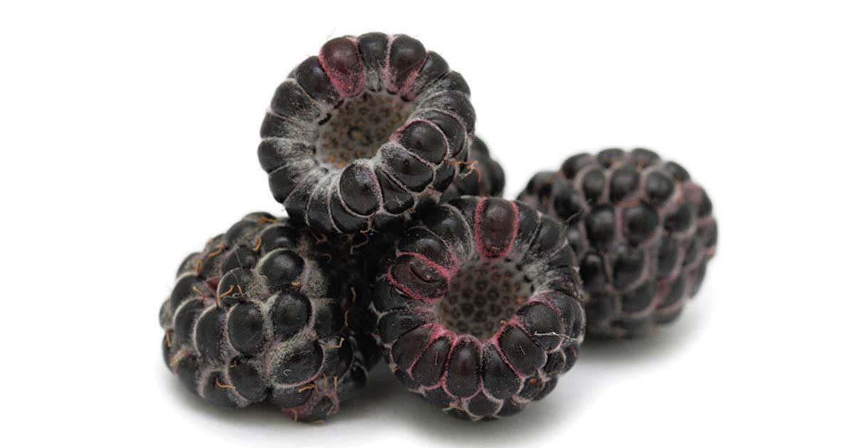 2 Easy Black raspberries Recipes for a Nutritious Meal from Samsung