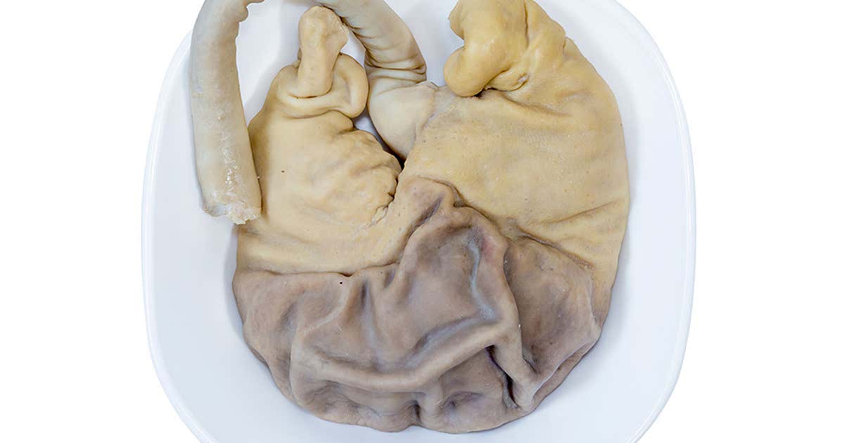 Easy Pork stomach Recipes for a Nutritious Meal from Samsung Food Community