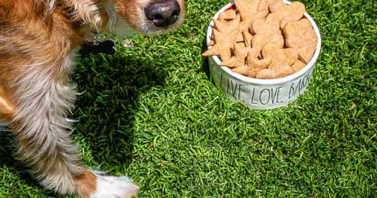 Peanut Butter Dog Treats Recipe Samsung Food