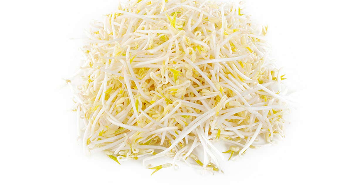 682 Easy Bean sprouts Recipes