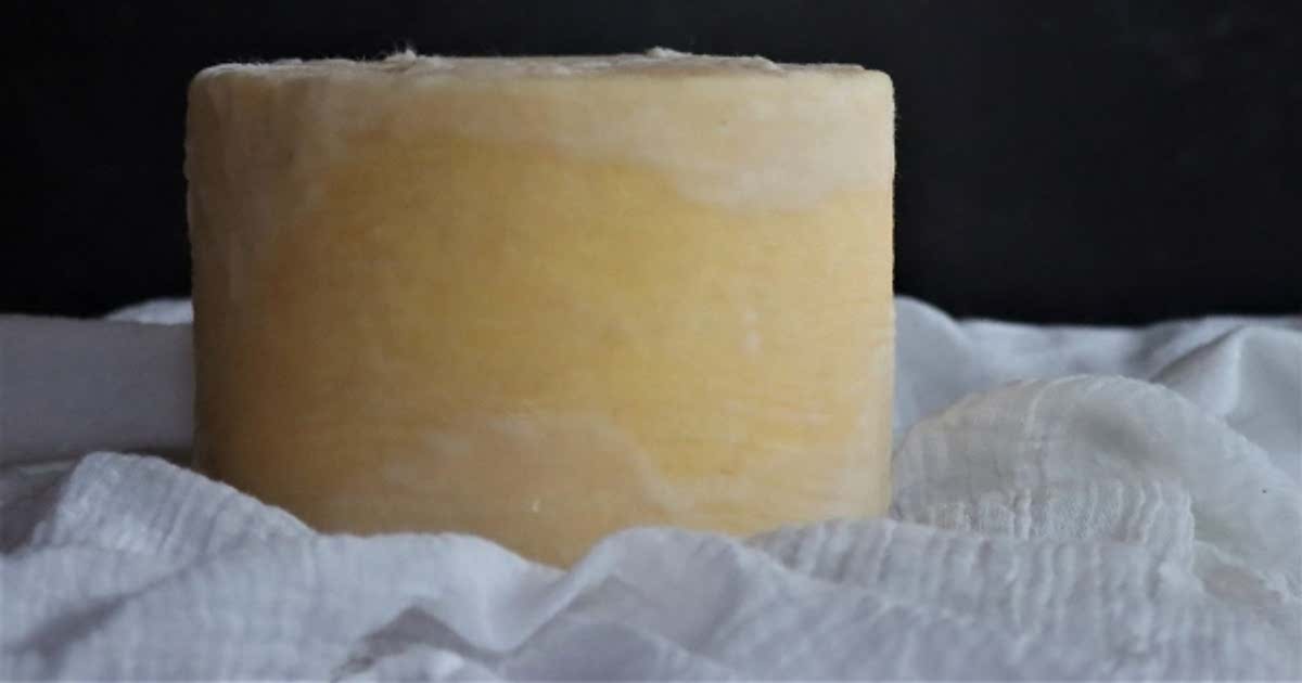 Homemade Cheddar Cheese Recipe Samsung Food