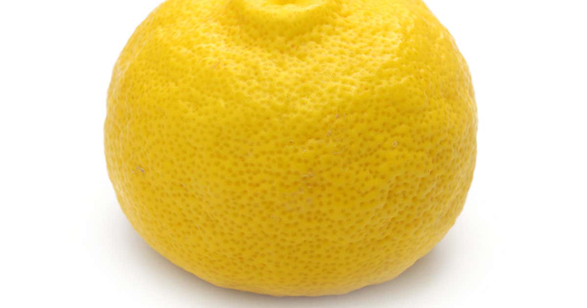 2-easy-yuzu-recipes