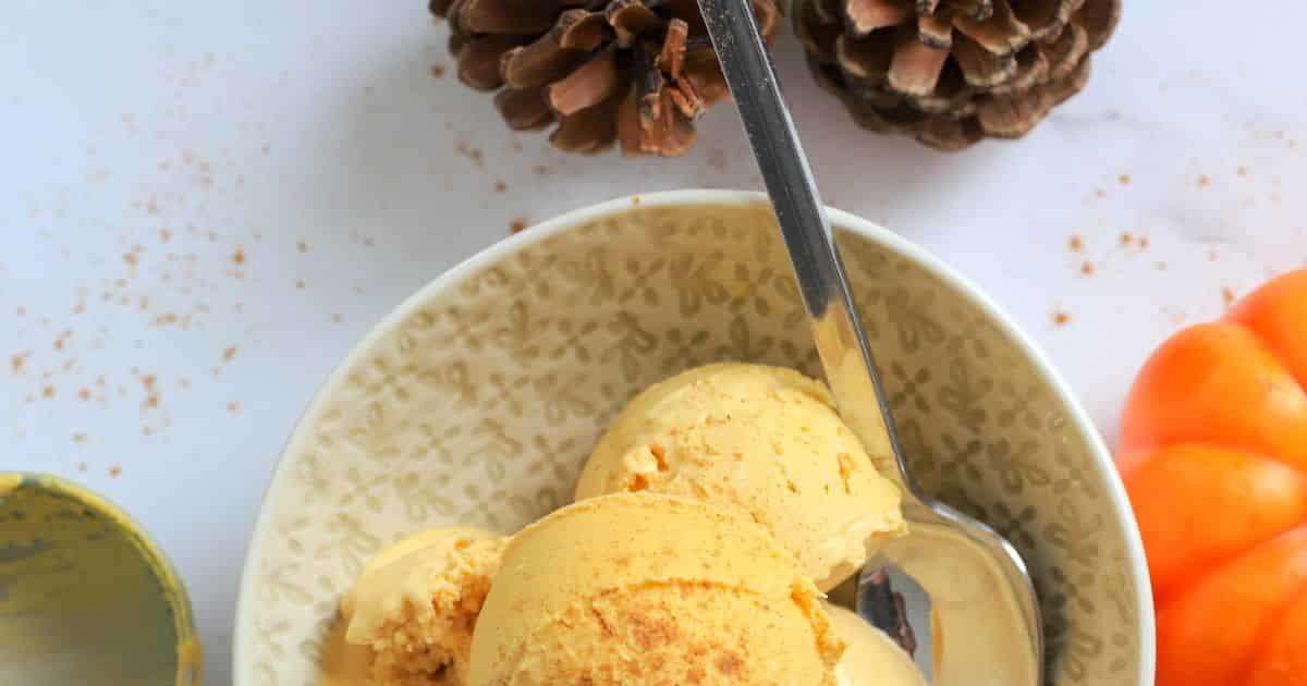 Dairy Free Ninja Creami Pumpkin Ice Cream