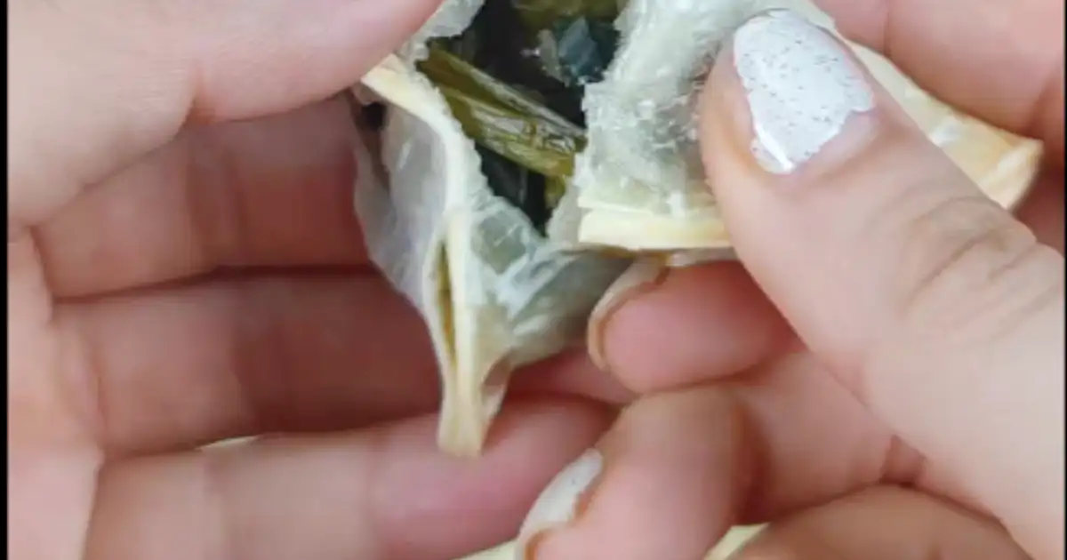 Spinach triangle (fatayer) Recipe — Samsung Food