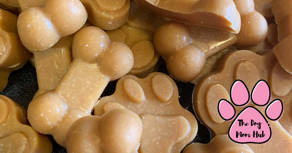 Homemade dog treats with top coconut oil and pumpkin