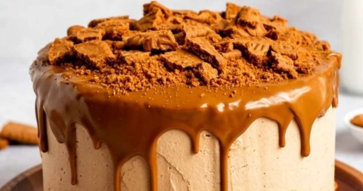 Lotus Biscoff Ice Cream Cake - 15 Minute Prep! - Flour & Spice