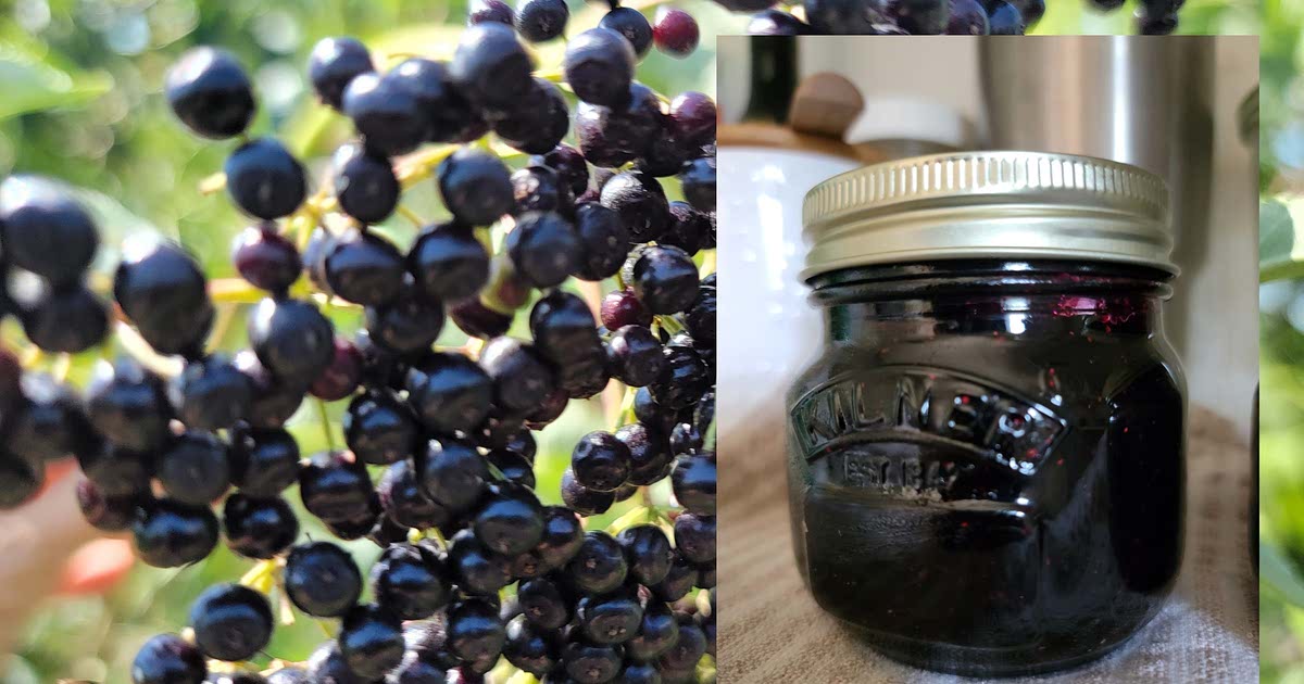 Seedless Blueberry/Elderberry Jam No water bath! Recipe Samsung Food App