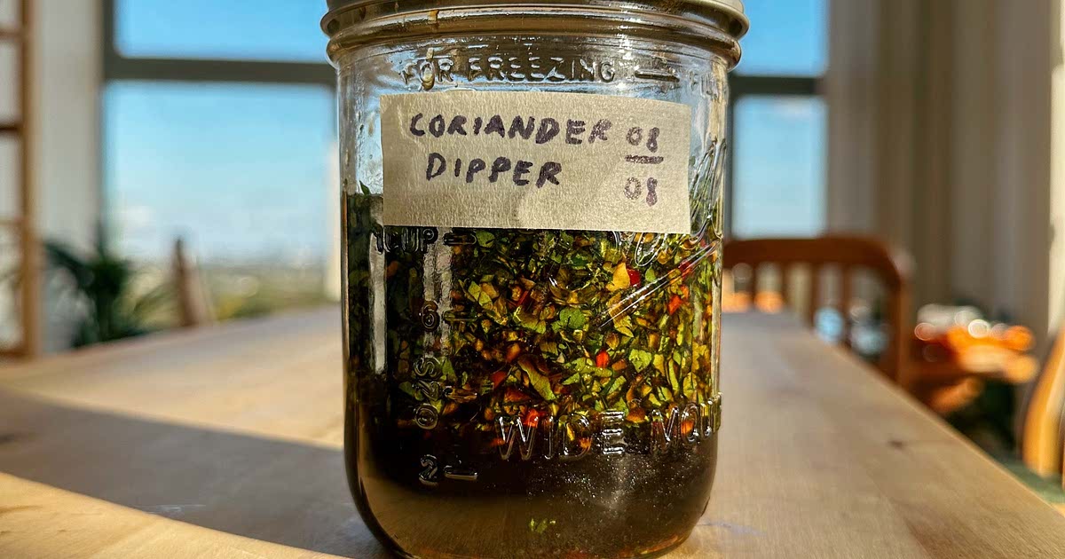 Coriander/Cilantro Dipping Sauce Recipe — Samsung Food