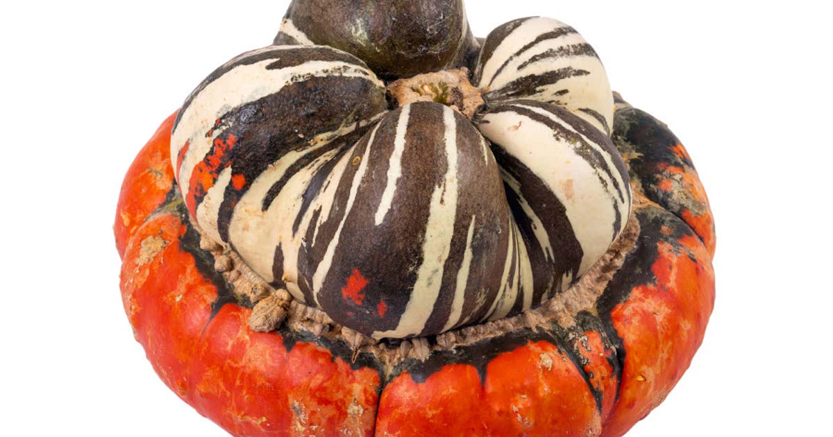 Easy Turban squash Recipes for a Nutritious Meal from Samsung Food
