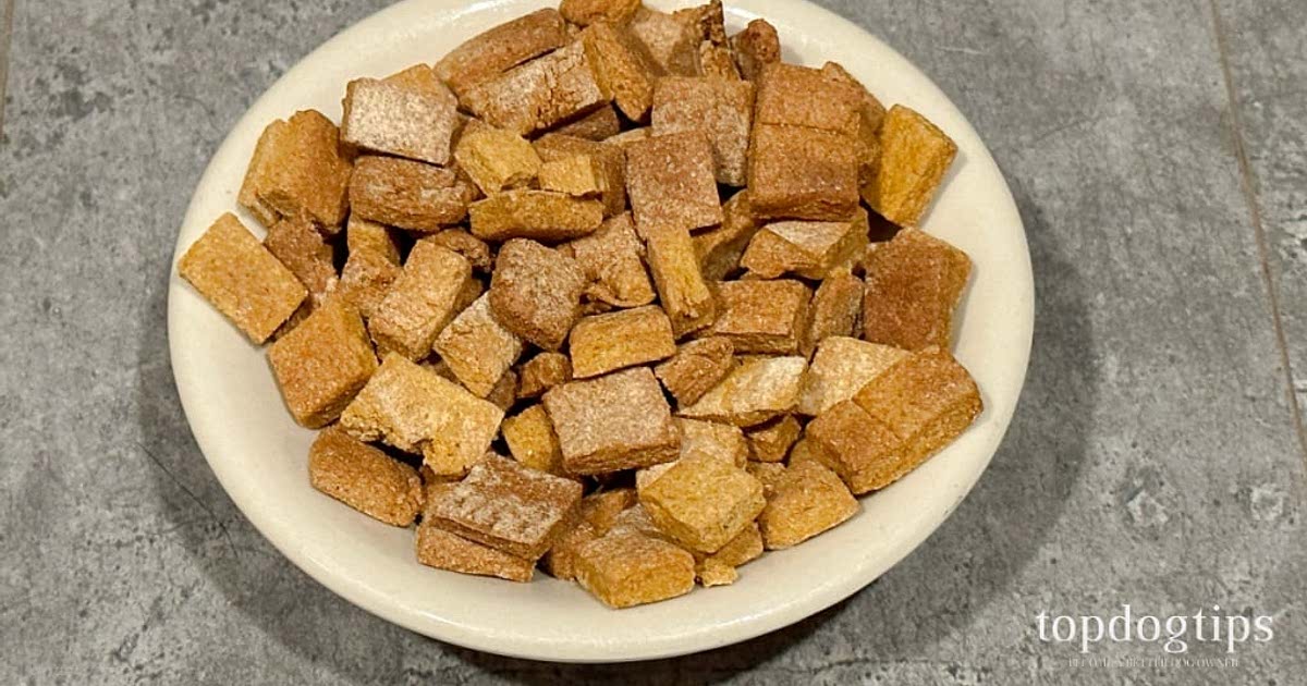 Homemade training top treats for dogs