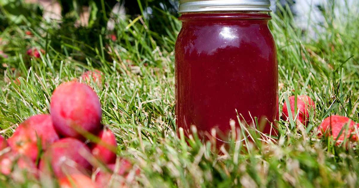 The perfect crab apple jelly recipe Recipe - Samsung Food