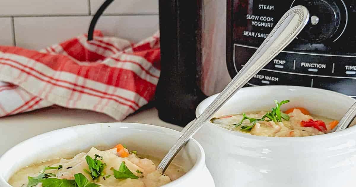ninja foodi chicken vegetable soup Recipe Whisk